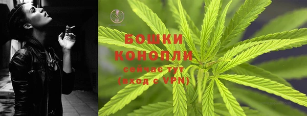СК Богородицк