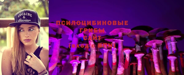 тгк Богородск