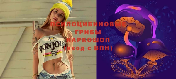 СК Богородицк