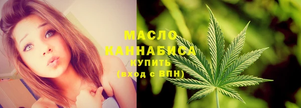 гидра Слюдянка