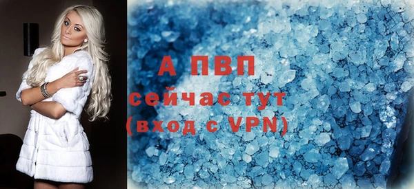 СК Богородицк