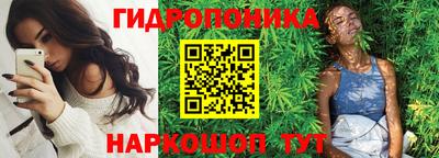 спиды Камышлов