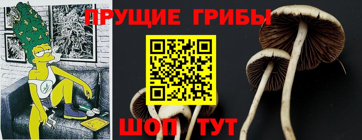 Богородицк  Псилоцибиновые грибы Cubensis  Вход с VPN  Галлюциногенные грибы GOLDEN TEACHER 