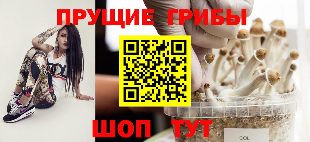 Галлюциногенные грибы MAGIC MUSHROOMS  закладки  Богородицк 